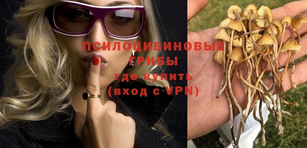 прущая мука Бородино