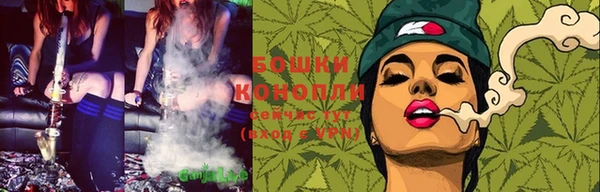 прущая мука Бородино