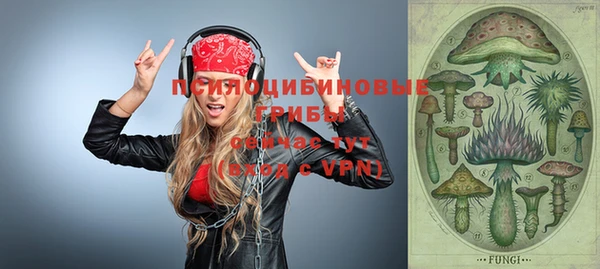 прущая мука Бородино