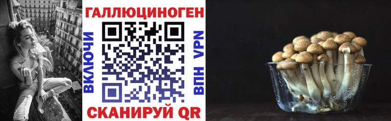 Псилоцибиновые грибы MAGIC MUSHROOMS  как найти наркотики  Вилючинск 